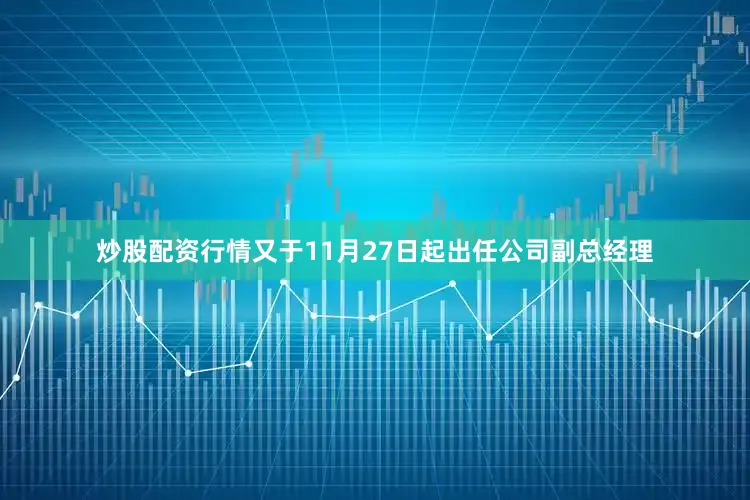 炒股配资行情又于11月27日起出任公司副总经理